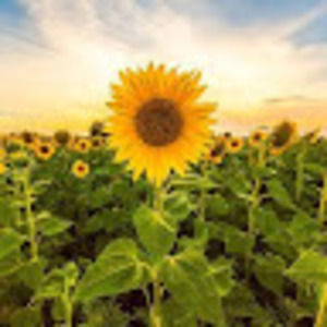 Meet your Posher, Gabrielle